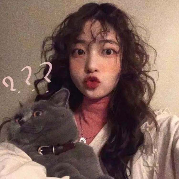 吉田俊司 - 独立电影小众在线观看 - 平板影视